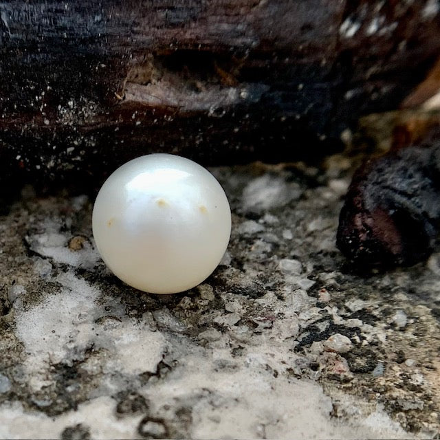 South Sea Pearl - 10.55 Carats/11.69 Ratti