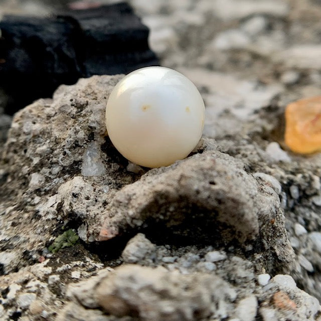 South Sea Pearl - 10.55 Carats/11.69 Ratti