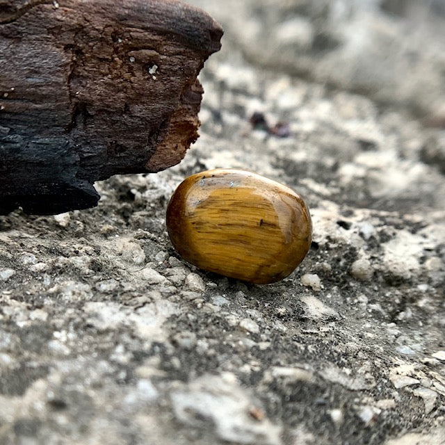 Natural Tiger's eye Stone - 10.50 Carat/11.65 Ratti