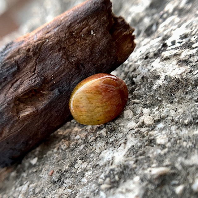 Natural Tiger's eye Stone - 10.00 Carat/11.1 Ratti