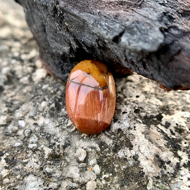 Natural Tiger's eye Stone - 8.85 Carat/9.82 Ratti