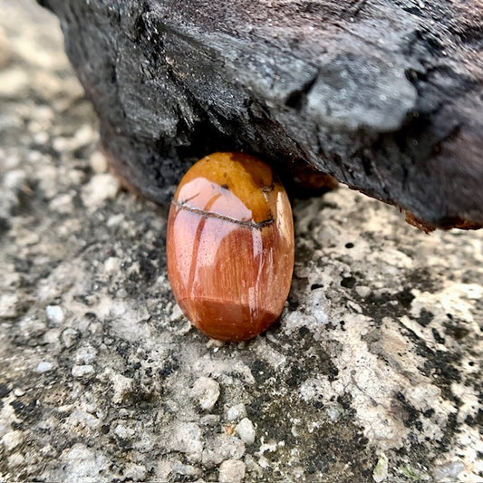 Natural Tiger's eye Stone - 8.85 Carat/9.82 Ratti