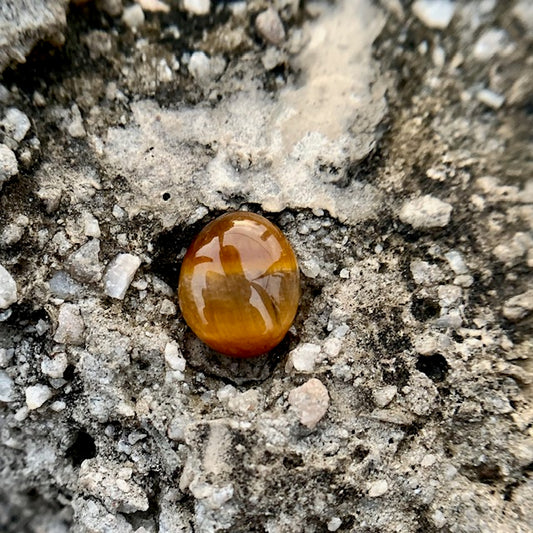 Natural Tiger's eye Stone - 4.35 Carat/4.82 Ratti