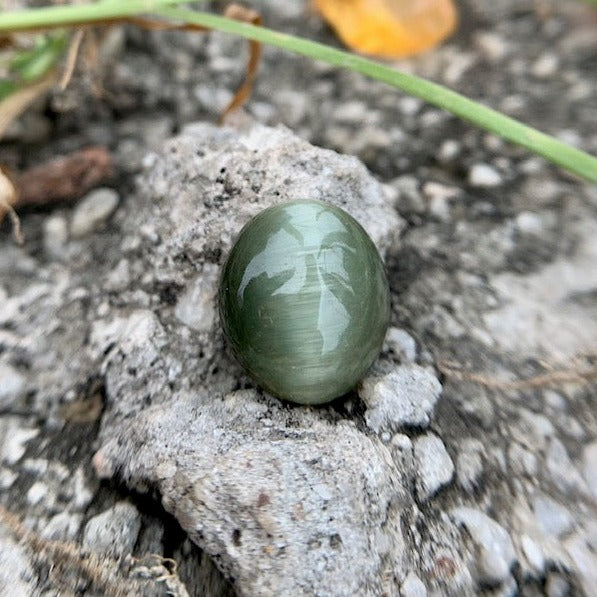 Natural Catseye stone - 6.25 Carat