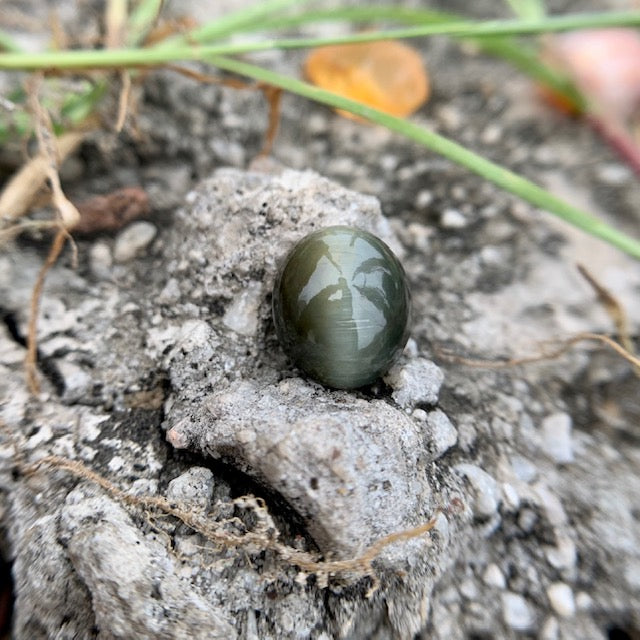 Natural Catseye stone - 6.50 Carat