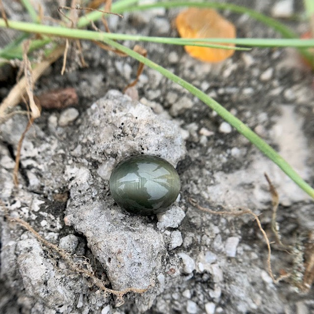 Natural Catseye stone - 6.50 Carat