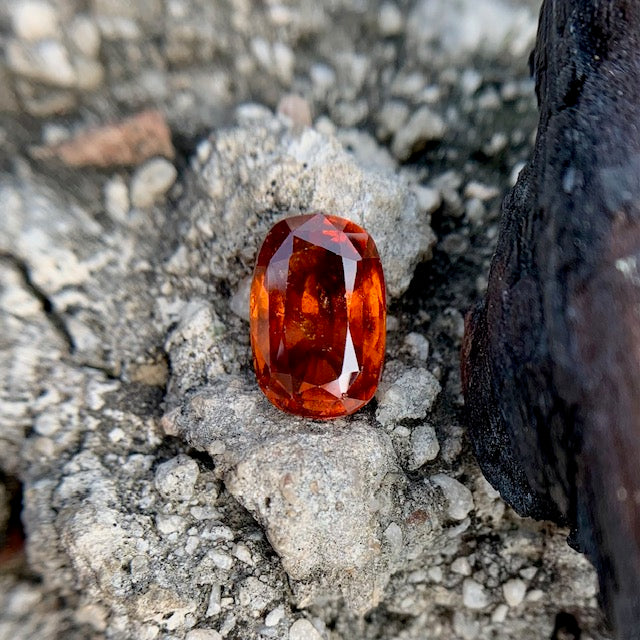 Natural Hessonite Garnet - 8.25 Carat/9.16 Ratti