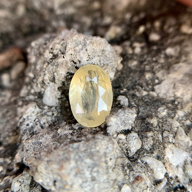 Natürlicher gelber Saphir – 2,70 Karat/3,00 Ratti
