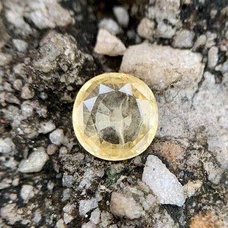 Natürlicher gelber Saphir – 2,60 Karat/2,88 Ratti