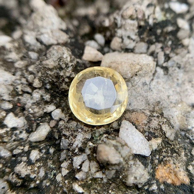 Natürlicher gelber Saphir – 2,60 Karat/2,88 Ratti