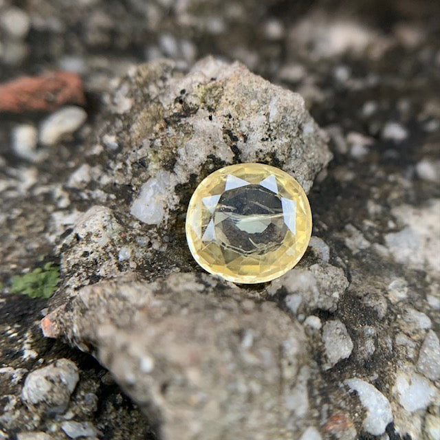 Natürlicher gelber Saphir – 2,60 Karat/2,88 Ratti