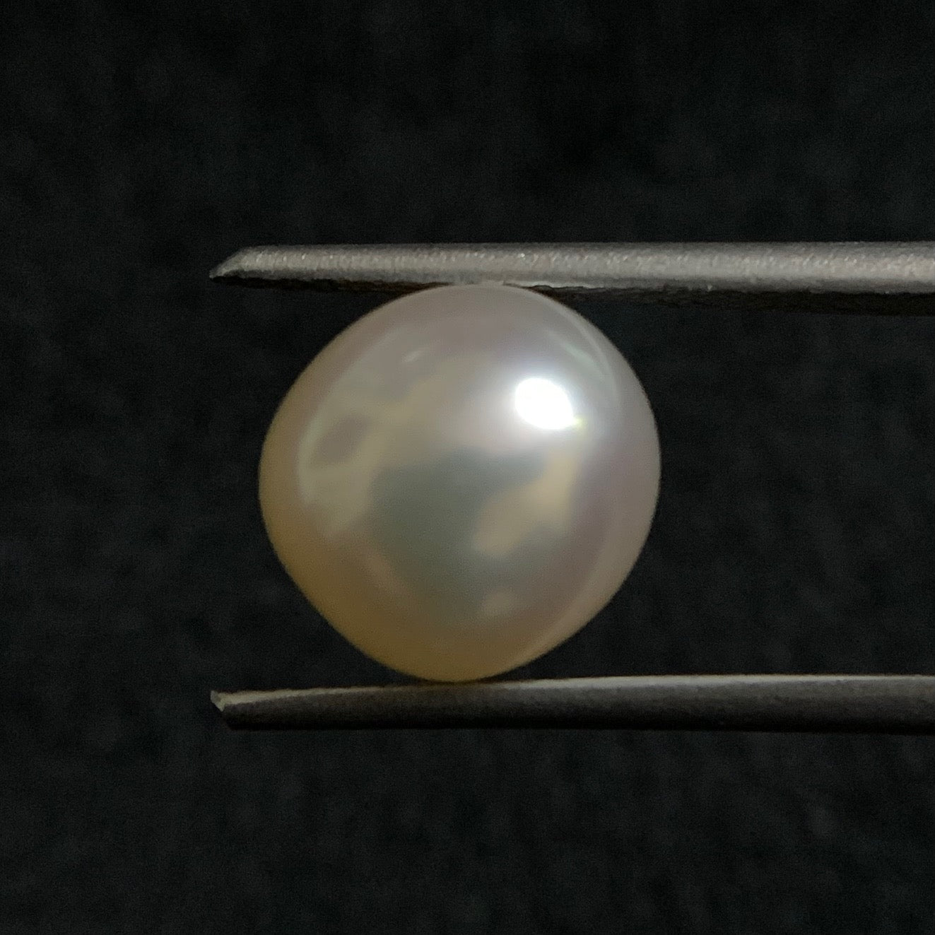 Natural Pearl - 6.55 Carats/7.27 Ratti