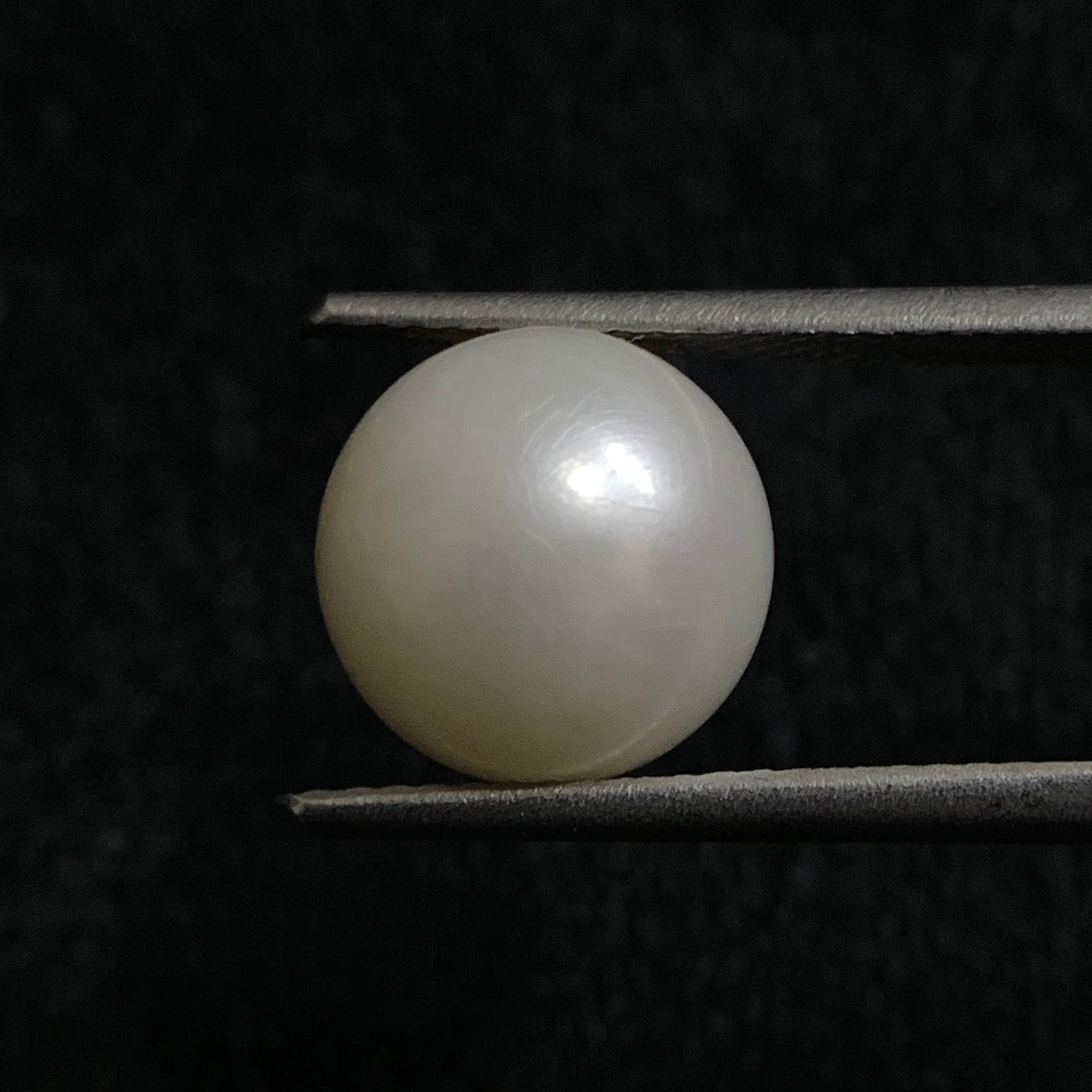 Natural Pearl - 7.76 Carats/8.61 Ratti