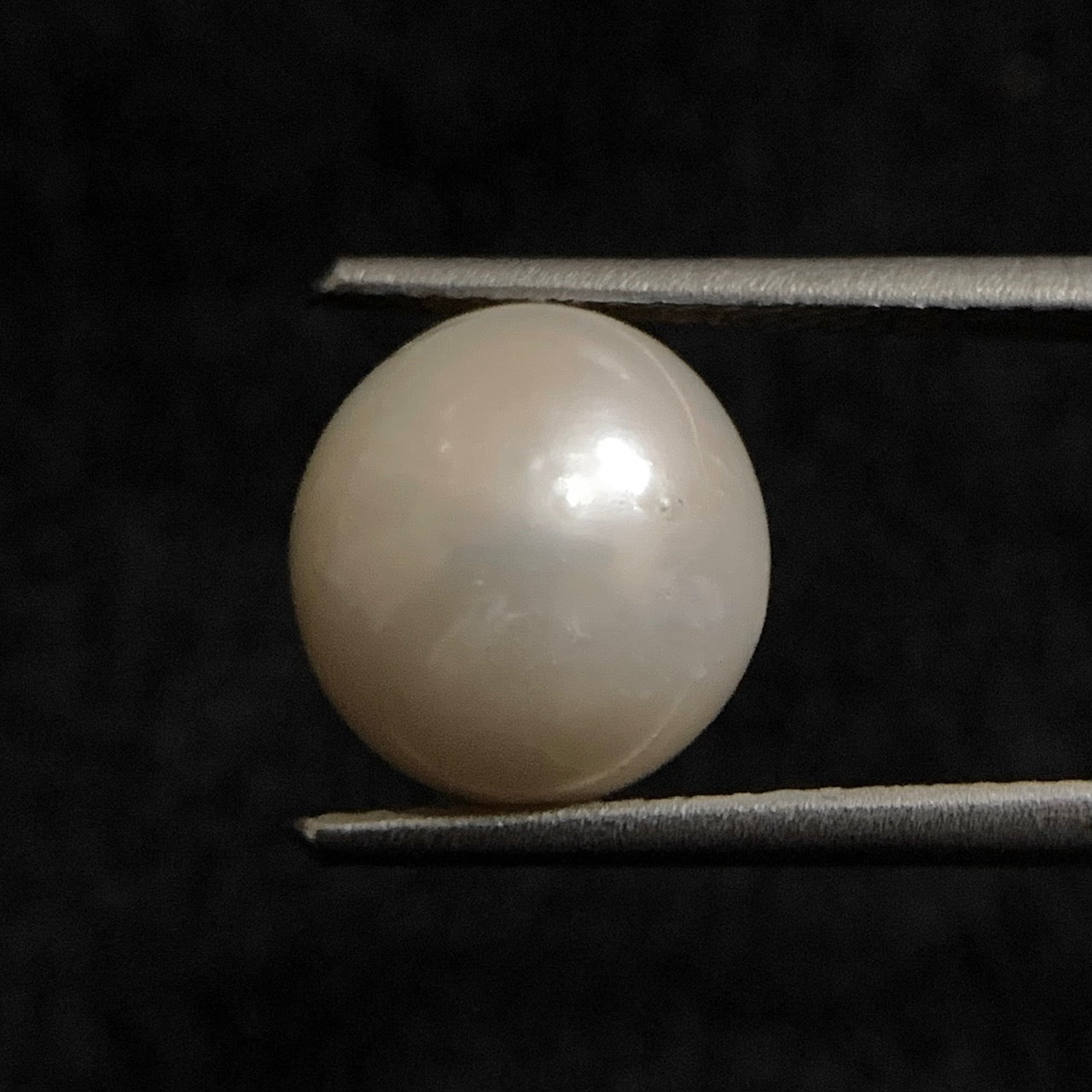 Natural Pearl - 7.02 Carats/7.79 Ratti