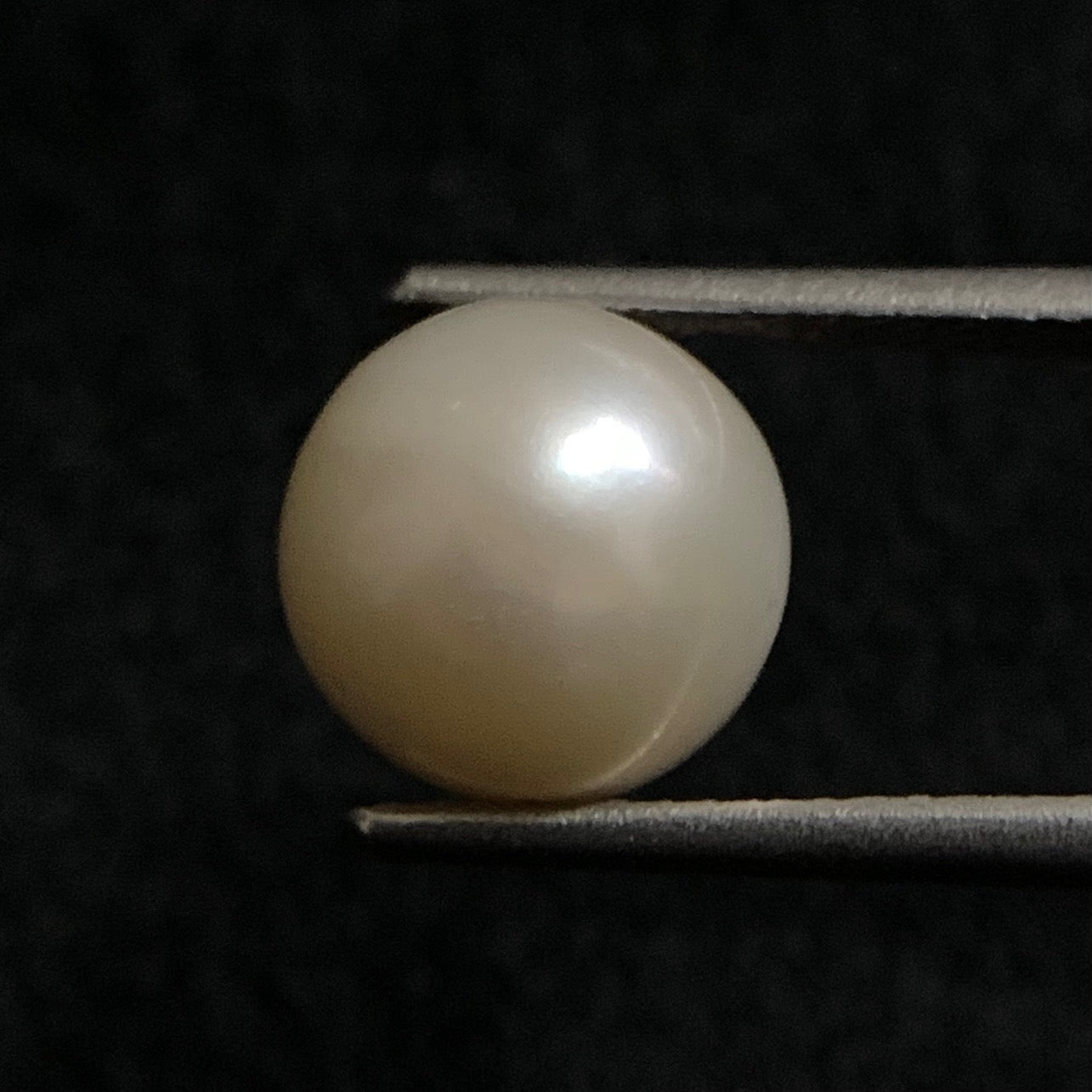Natural Pearl - 6.45 Carats/7.15 Ratti