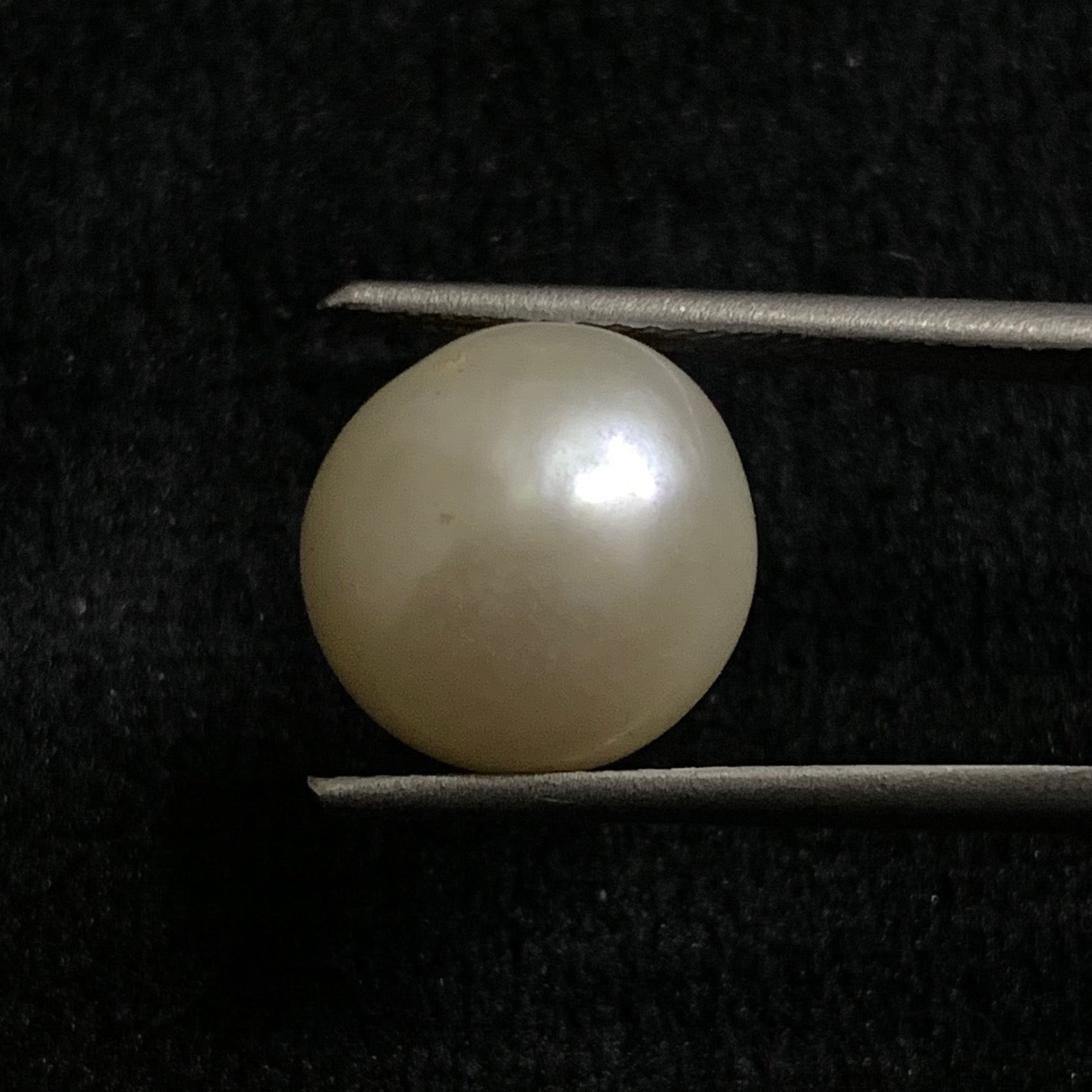 Natural Pearl - 8.23 Carats/9.13 Ratti