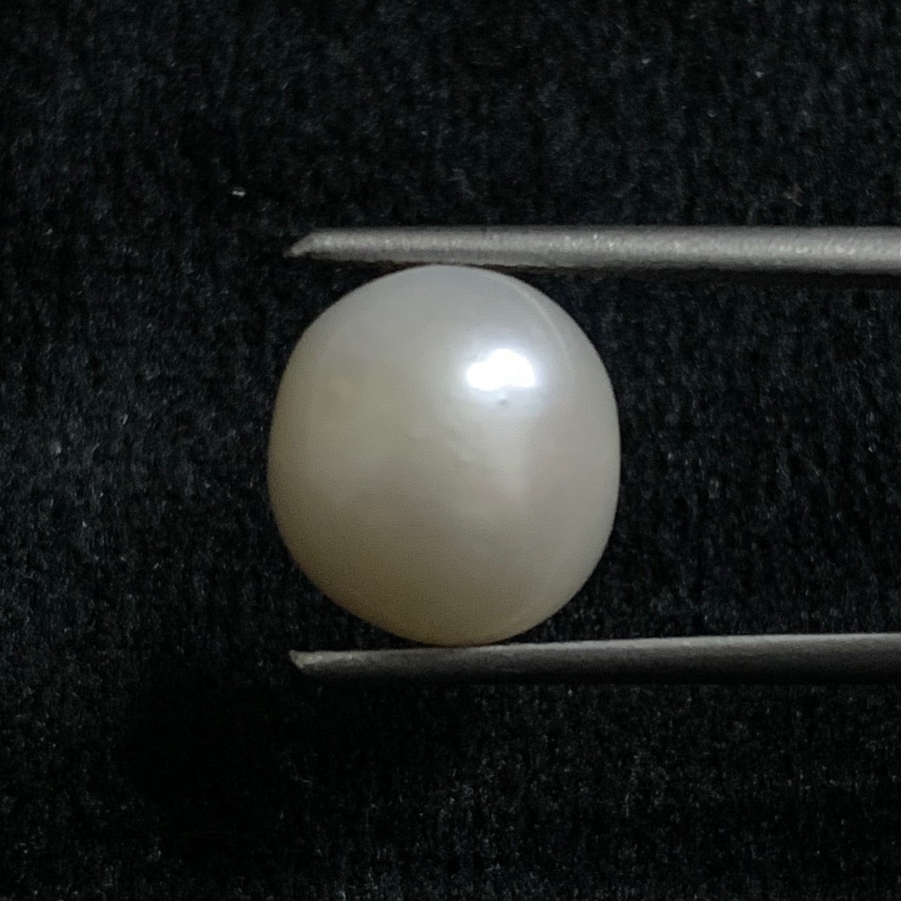Natural Pearl - 7.26 Carats/8.05 Ratti