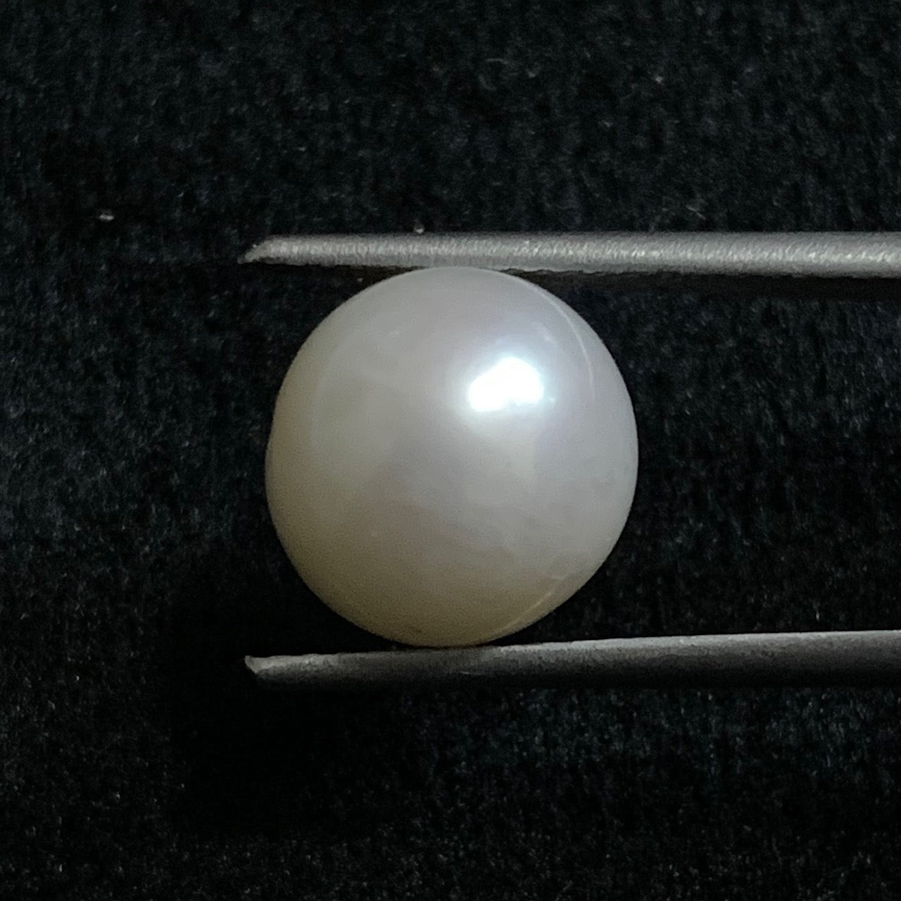 Natural Pearl - 7.18 Carats/7.96 Ratti