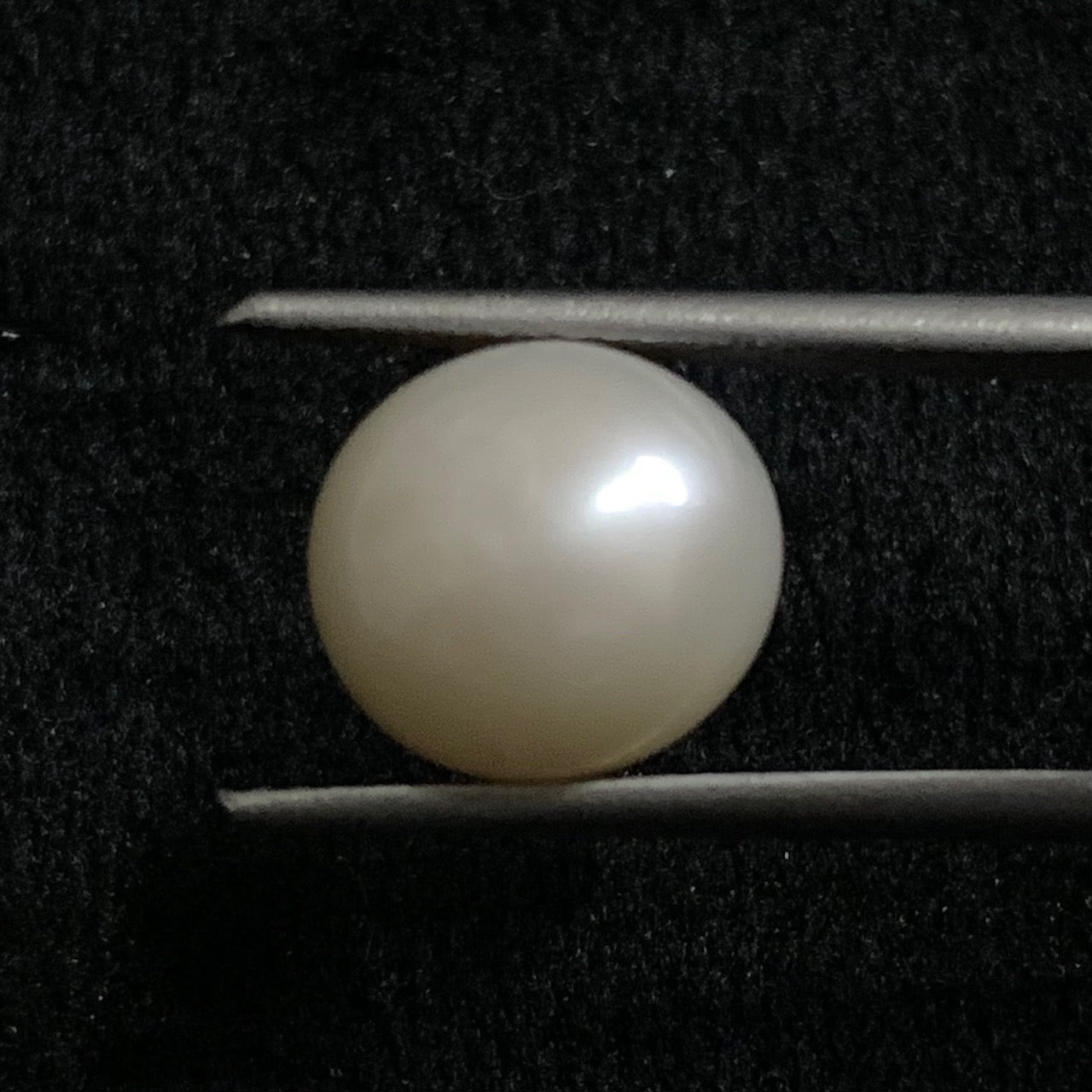 South Sea Pearl - 6.99 Carats/7.75 Ratti