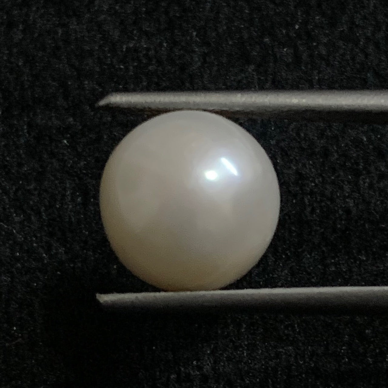 Natural Pearl - 6.62 Carats/7.34 Ratti