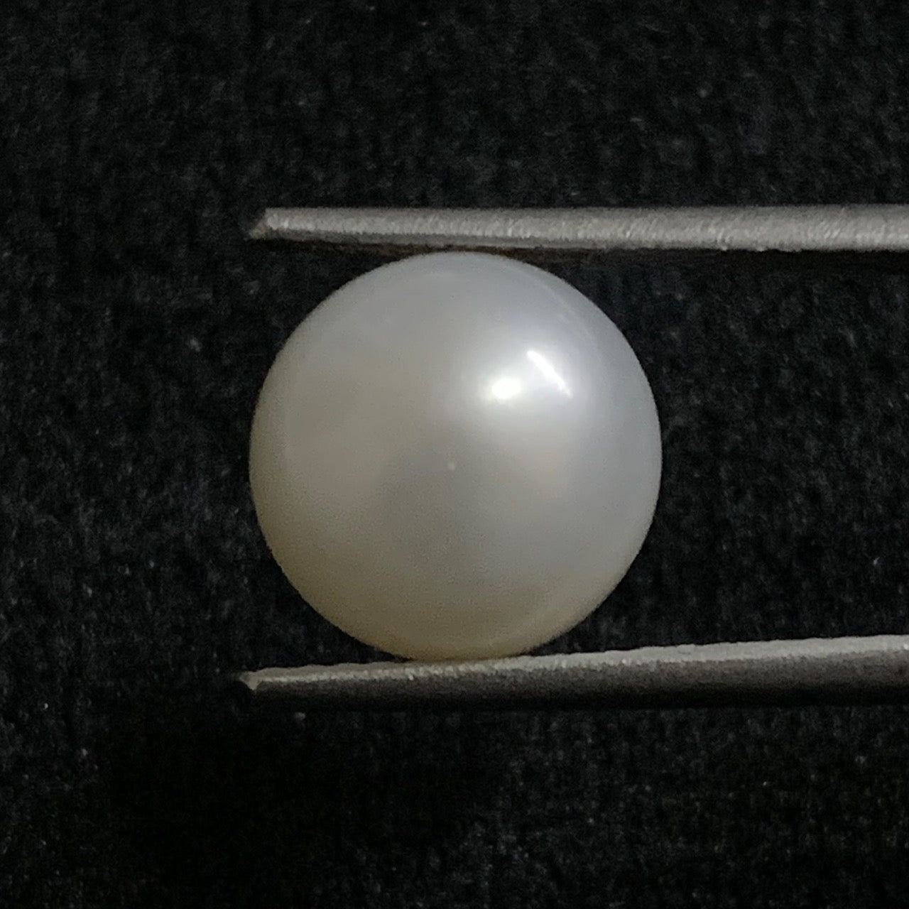 Natural Pearl - 6.82 Carats/7.57 Ratti