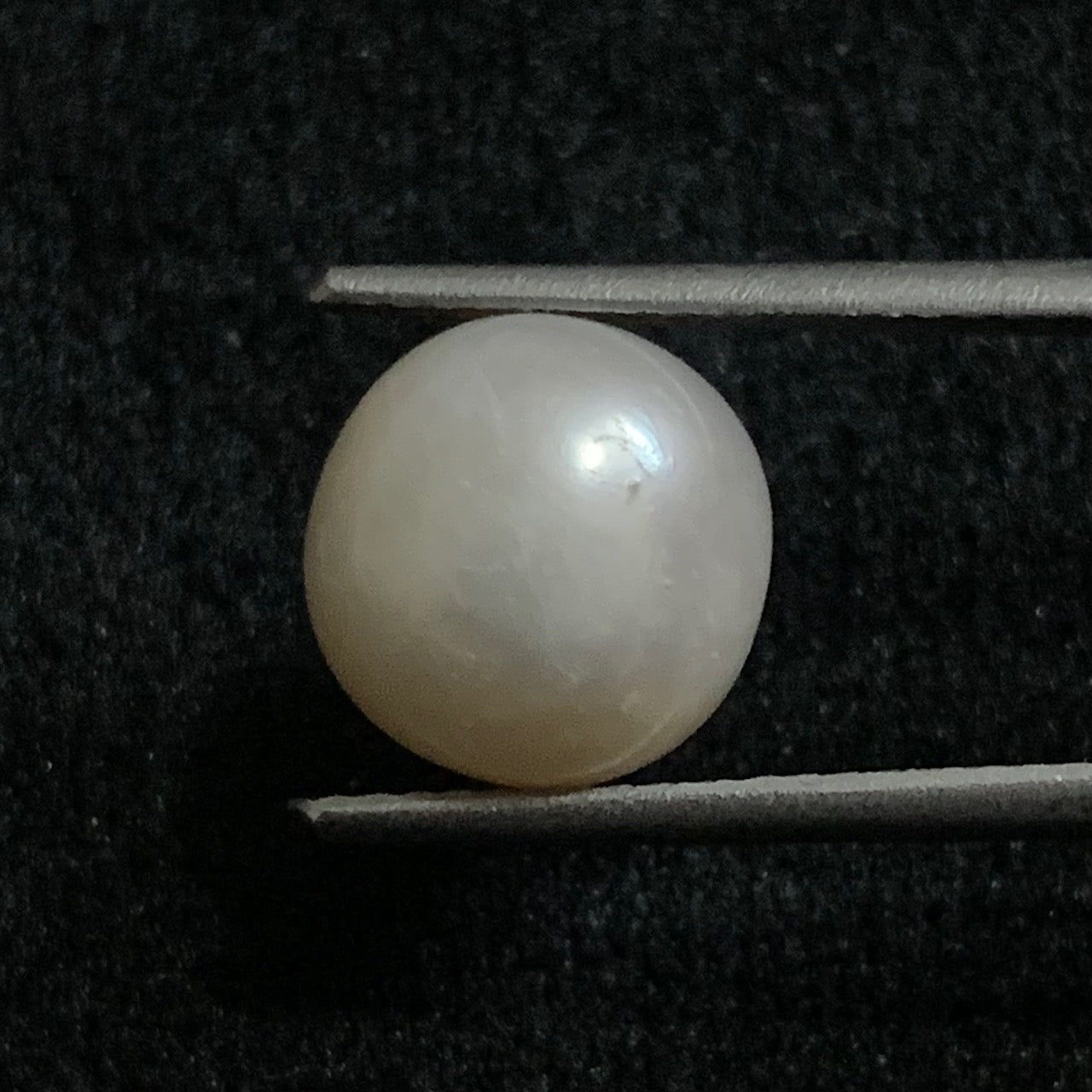 Südseeperle - 7,95 Karat/8,82 Ratti