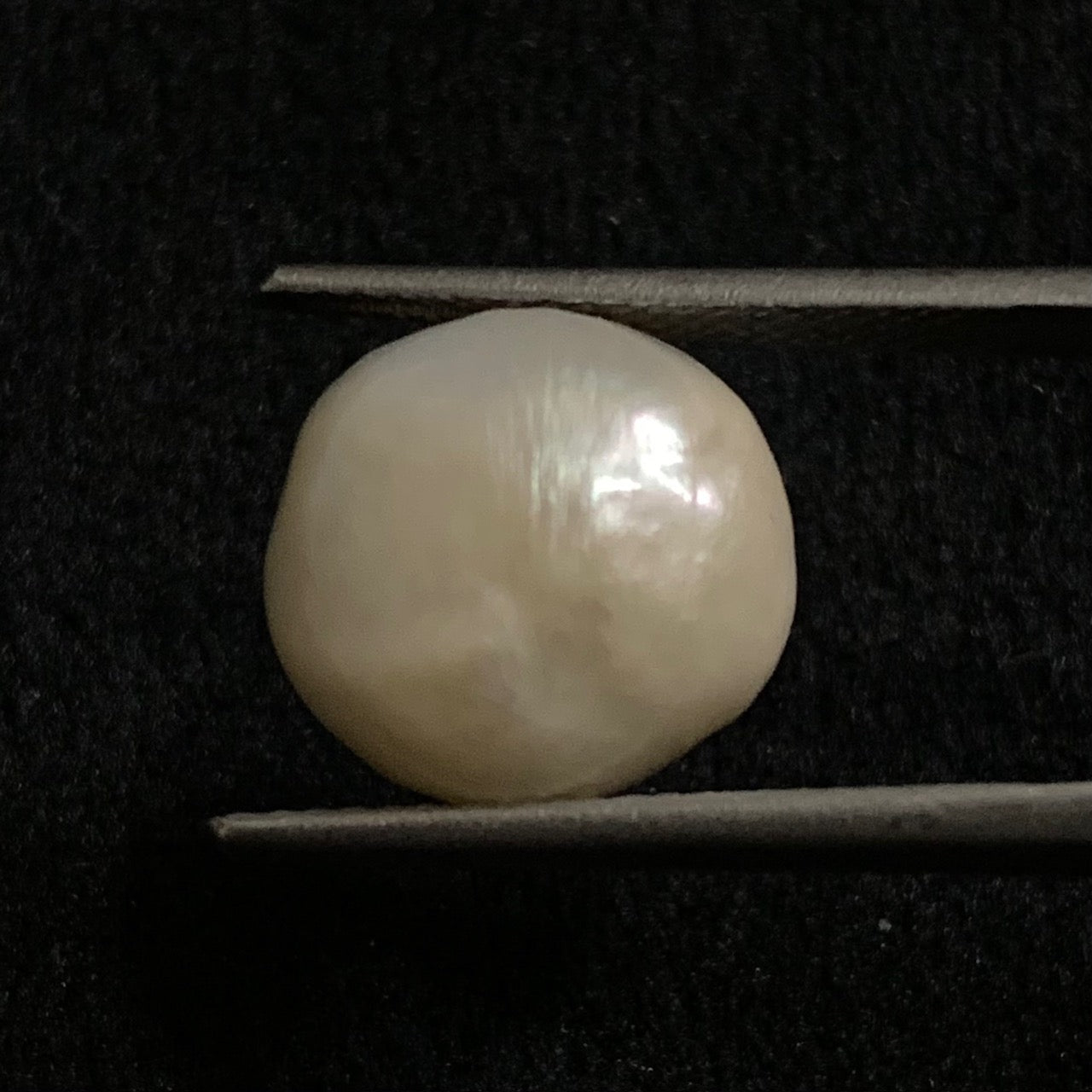 Natural Pearl - 10.79 Carats/11.97 Ratti