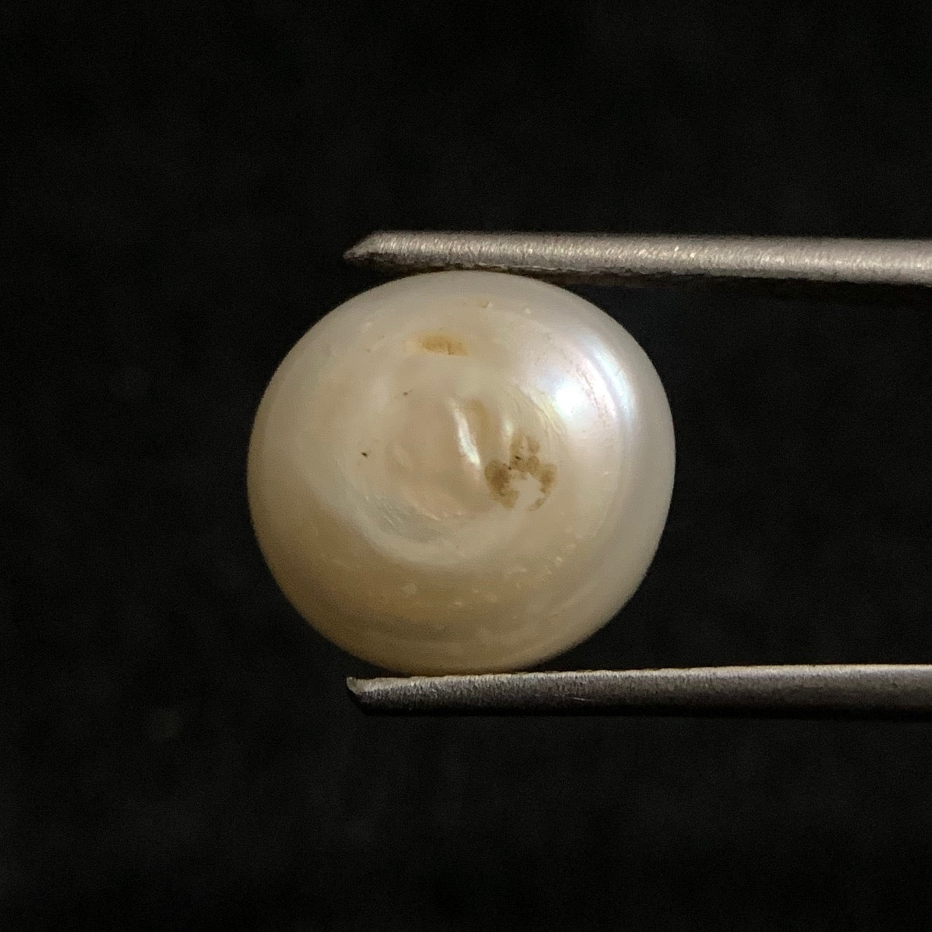 Natural Pearl - 8.10 Carats/8.99 Ratti