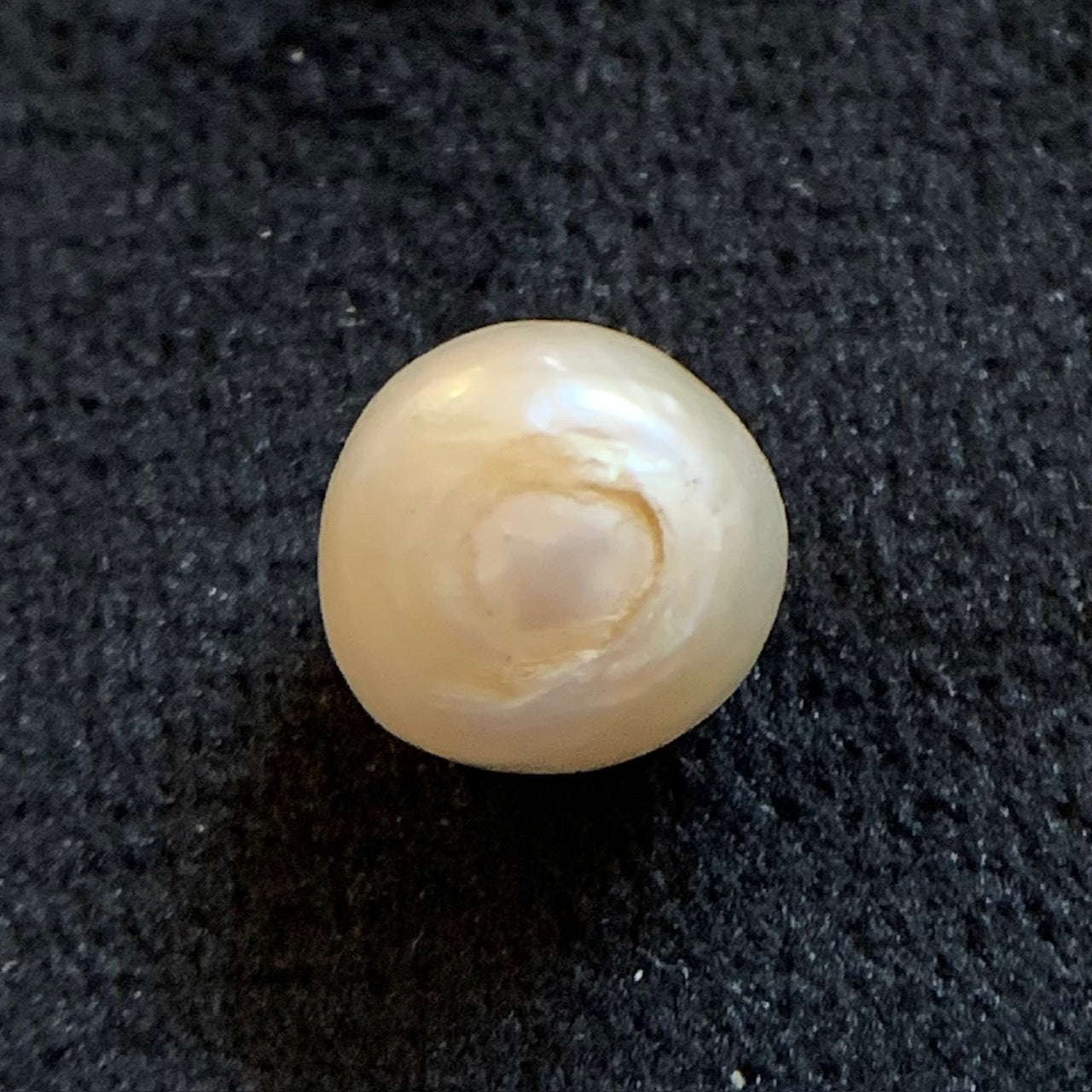 Südseeperle - 7,90 Karat/8,80 Ratti