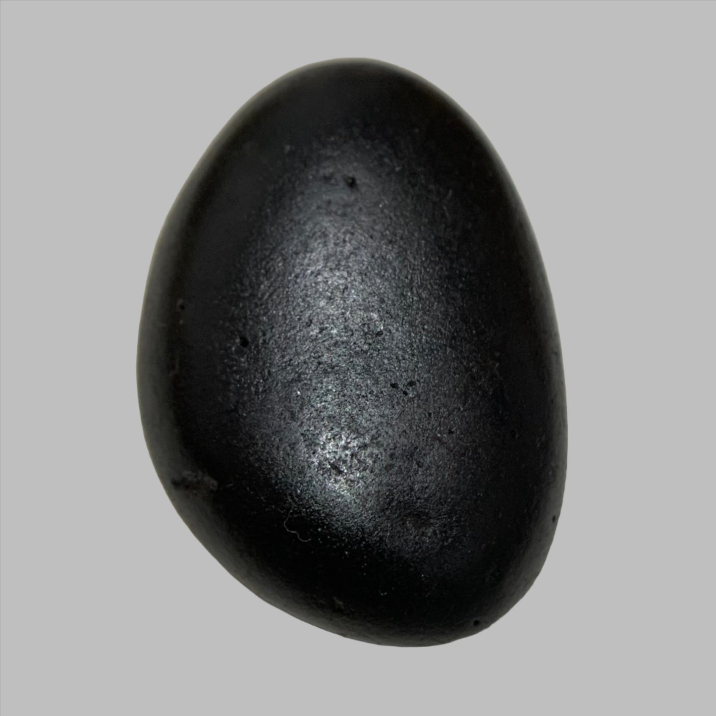 Natürlicher Shaligram-Stein