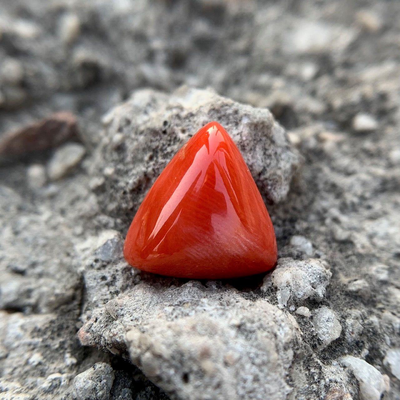 Natural Red Coral - 6.20 Carat/6.88 Ratti