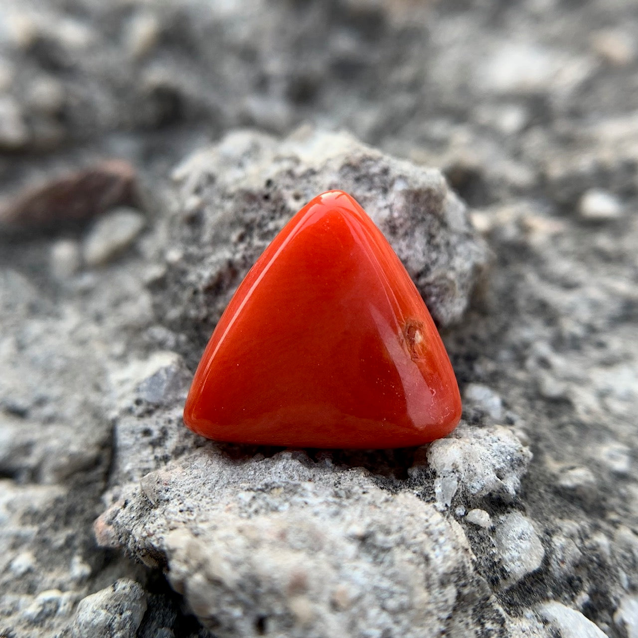 Natural Red Coral - 6.20 Carat/6.88 Ratti