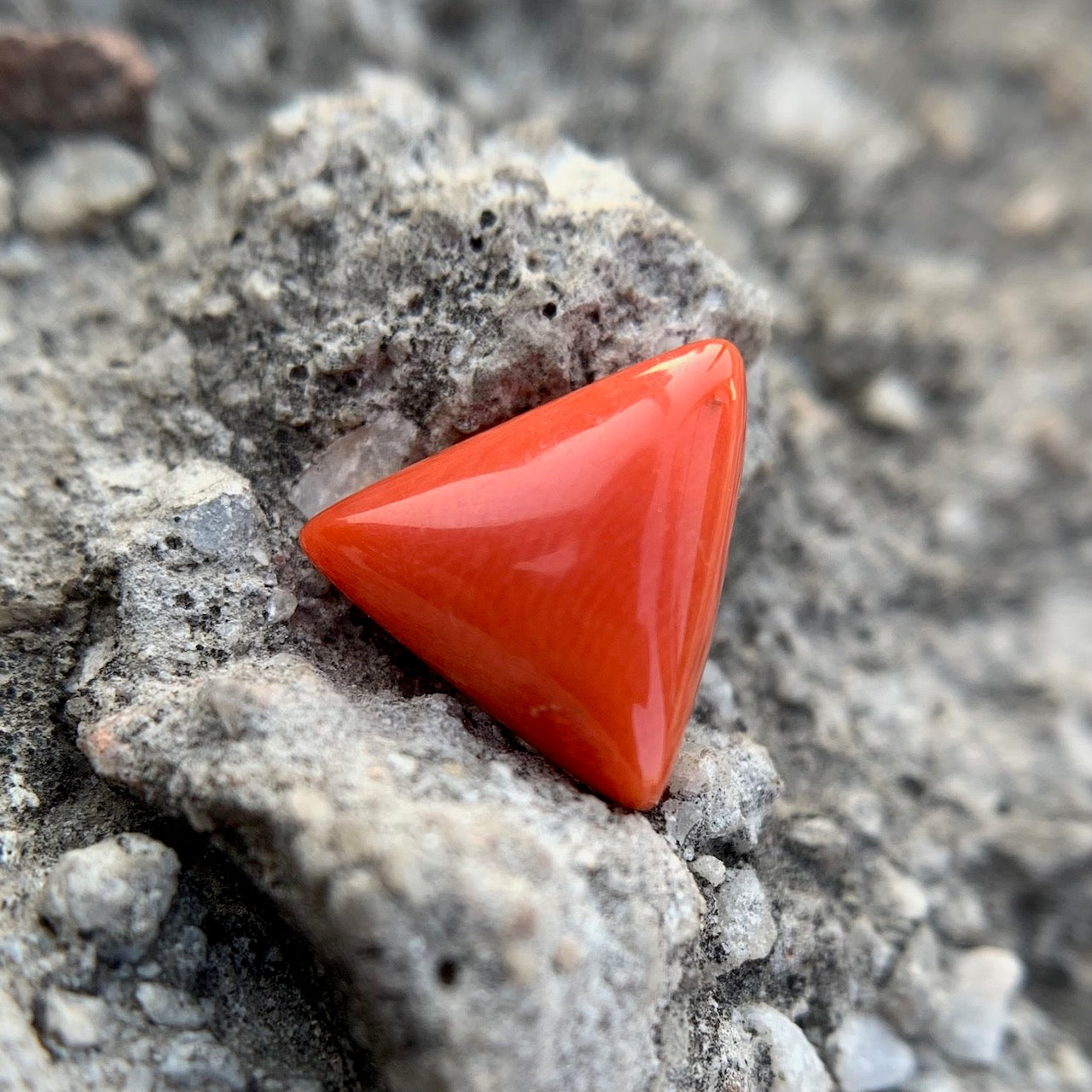 Natural Red Coral - 5.70 Carat/6.33 Ratti