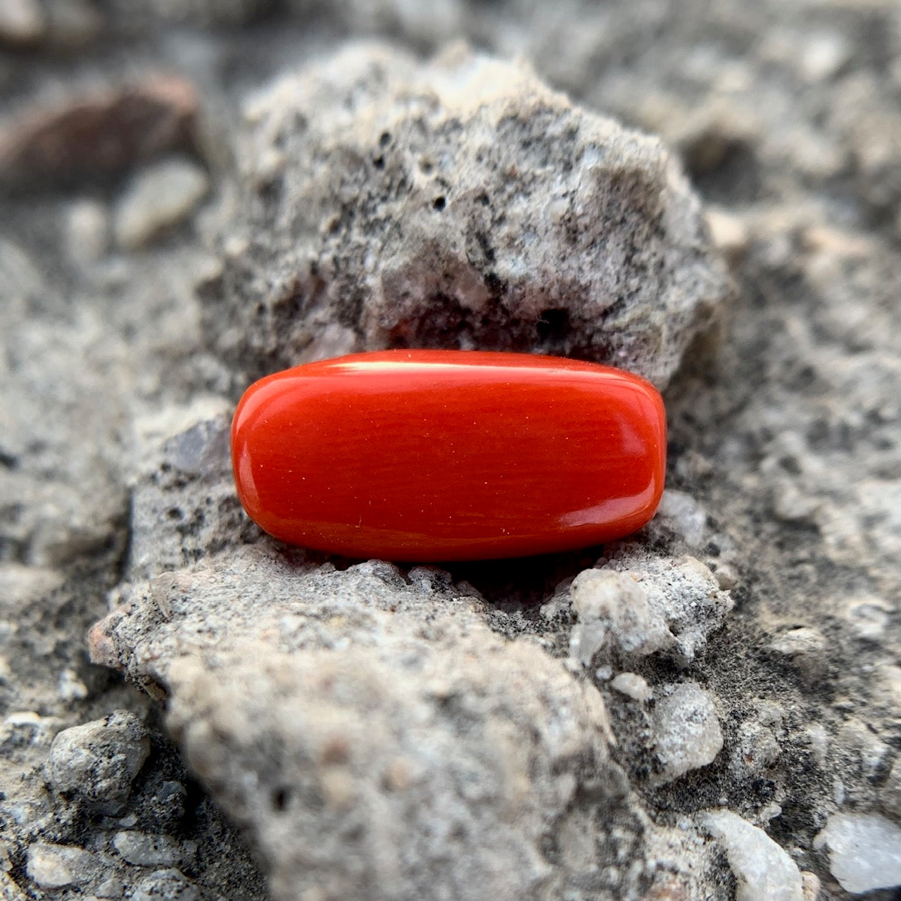 Natural Red Coral - 4.10 Carat/4.55 Ratti