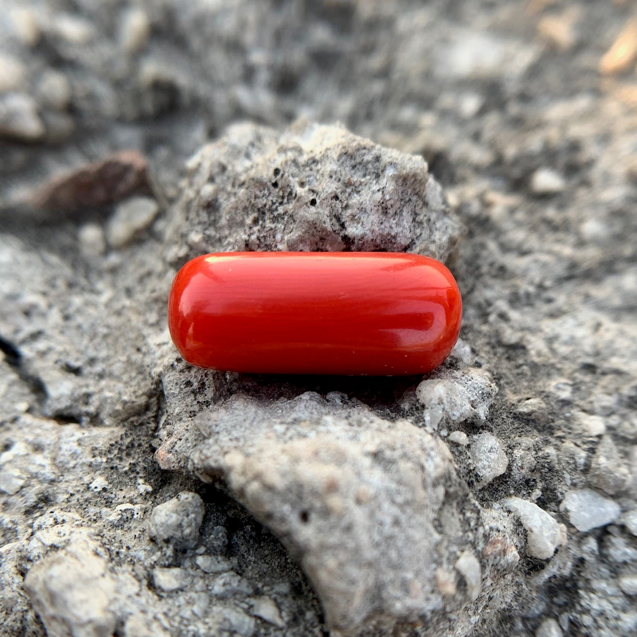 Natural Red Coral - 7.25 Carat/8.05 Ratti