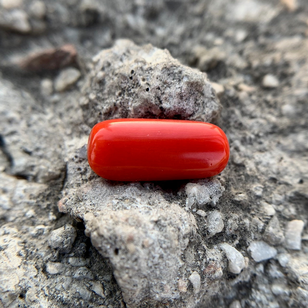 Natural Red Coral - 7.25 Carat/8.05 Ratti