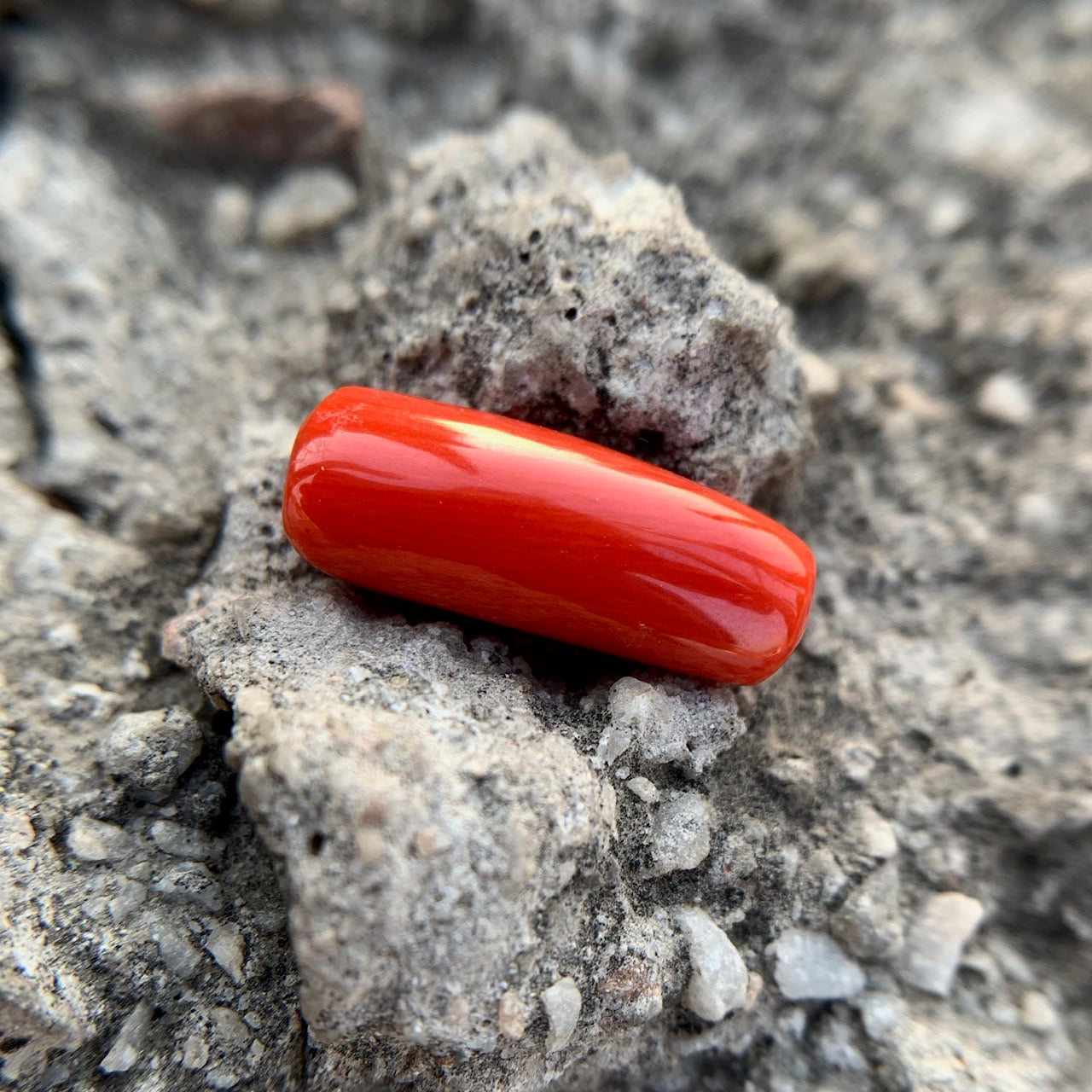 Natural Red Coral - 6.75 Carat/7.50 Ratti
