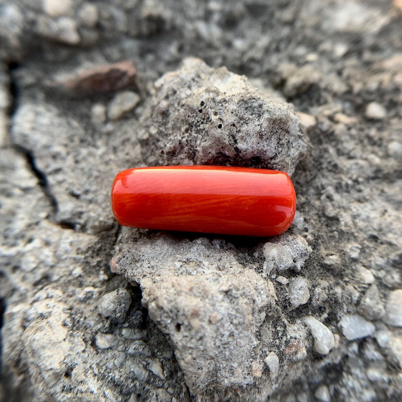 Natural Red Coral - 6.75 Carat/7.50 Ratti
