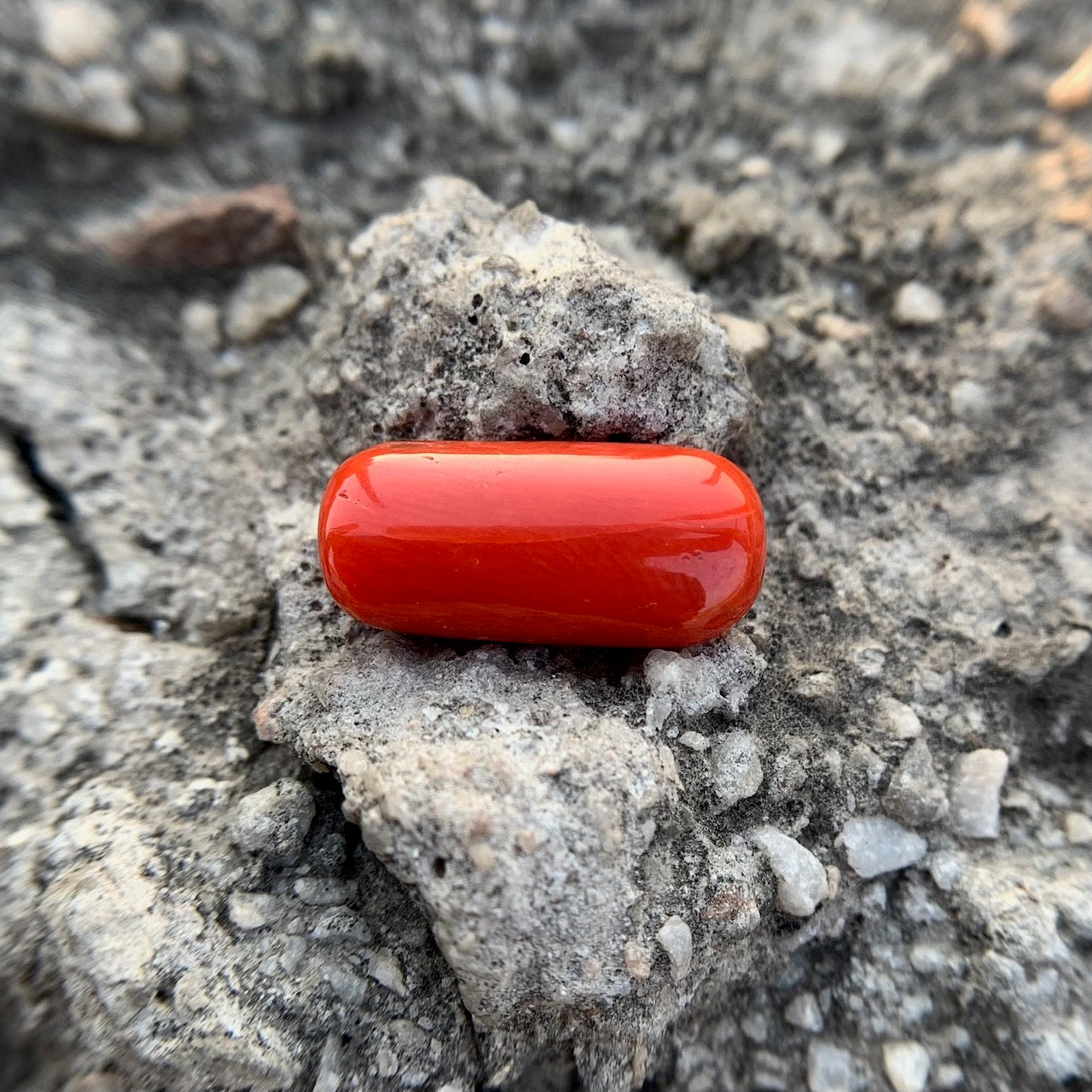 Natural Red Coral - 7.40 Carat/8.21 Ratti