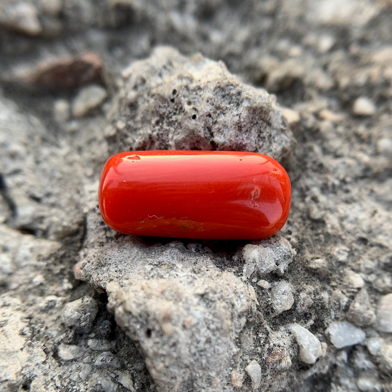 Natural Red Coral - 7.40 Carat/8.21 Ratti