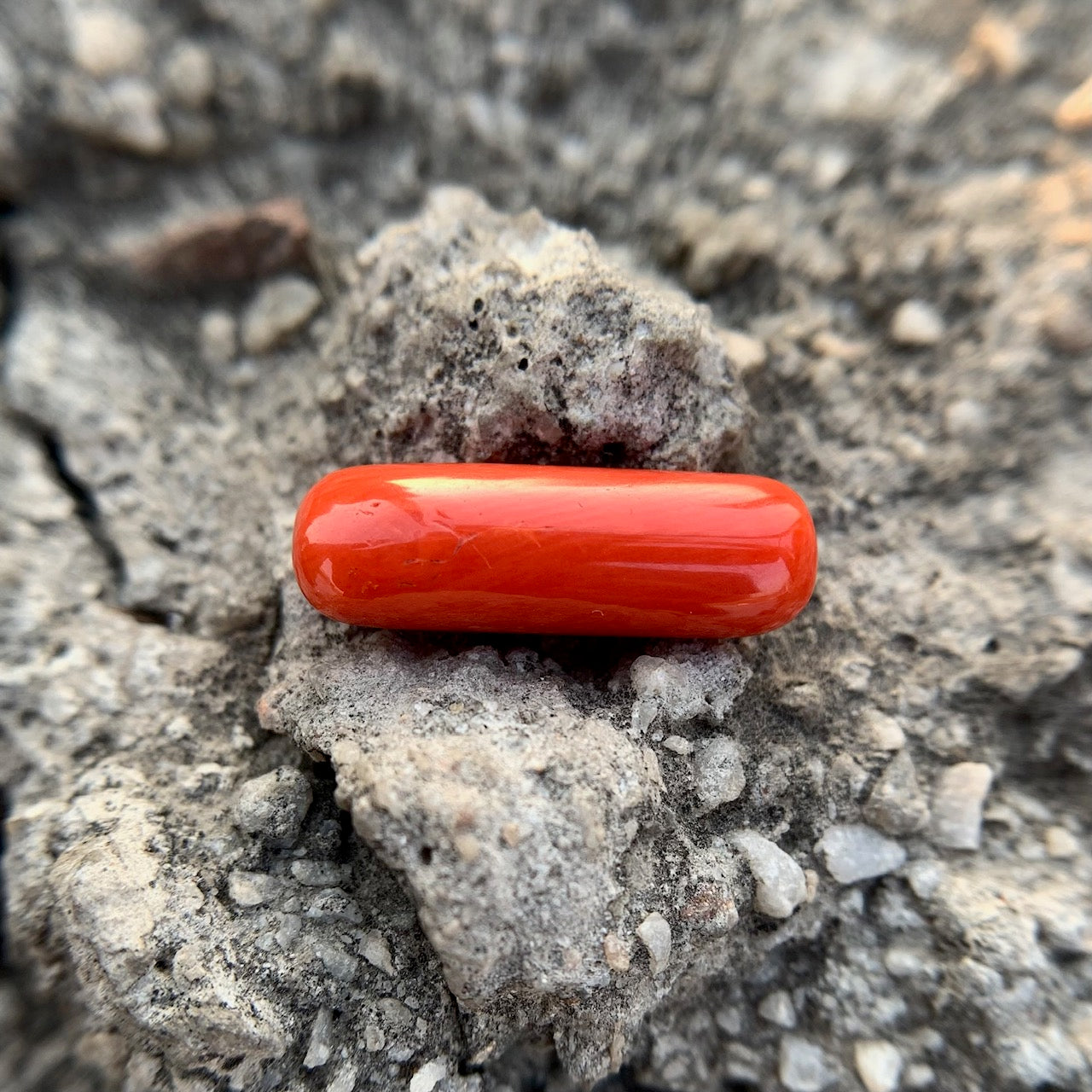 Natural Red Coral - 8.35 Carat/9.26 Ratti