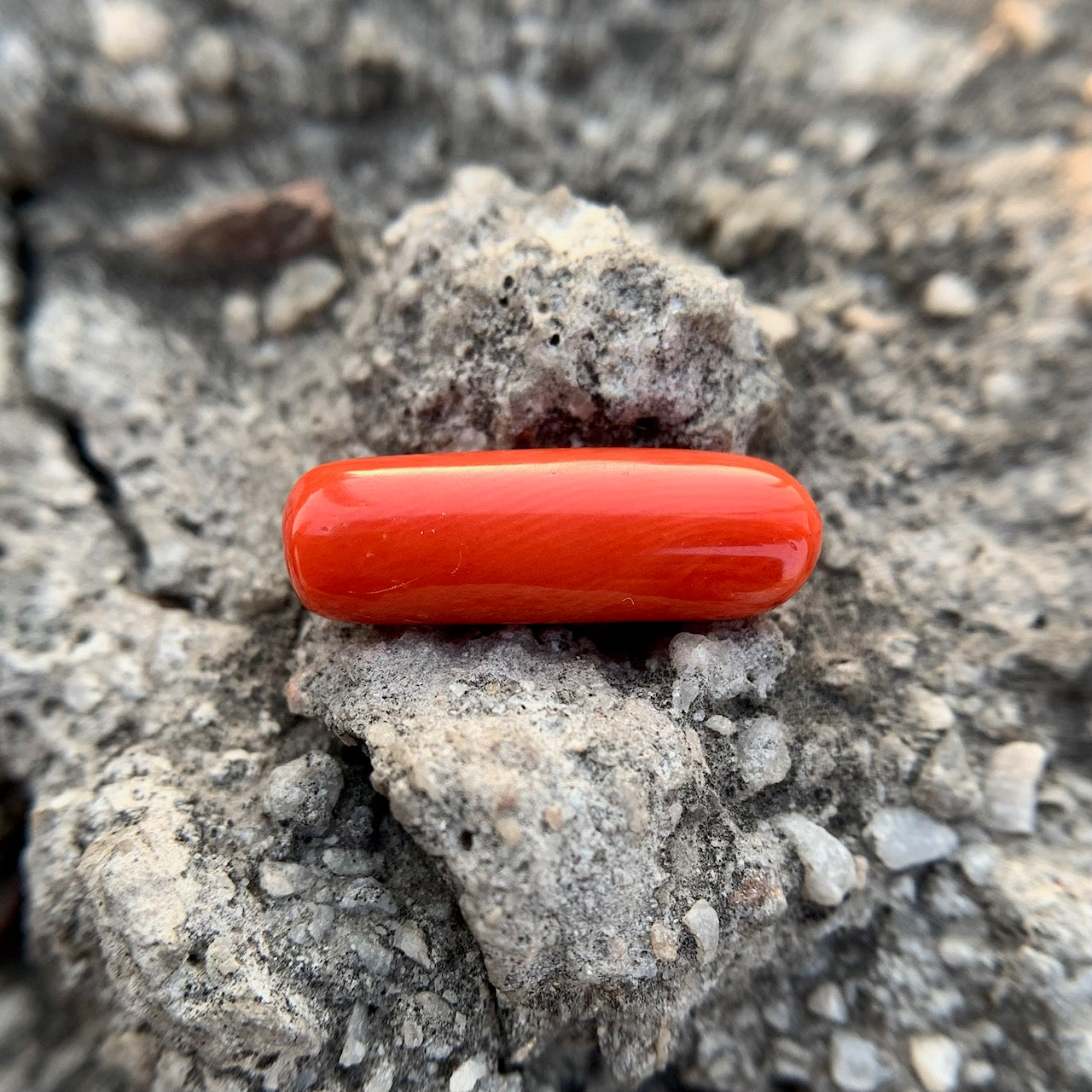 Natural Red Coral - 8.35 Carat/9.26 Ratti