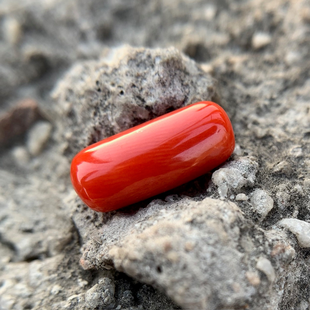 Natural Red Coral - 6.15 Carat/6.83 Ratti