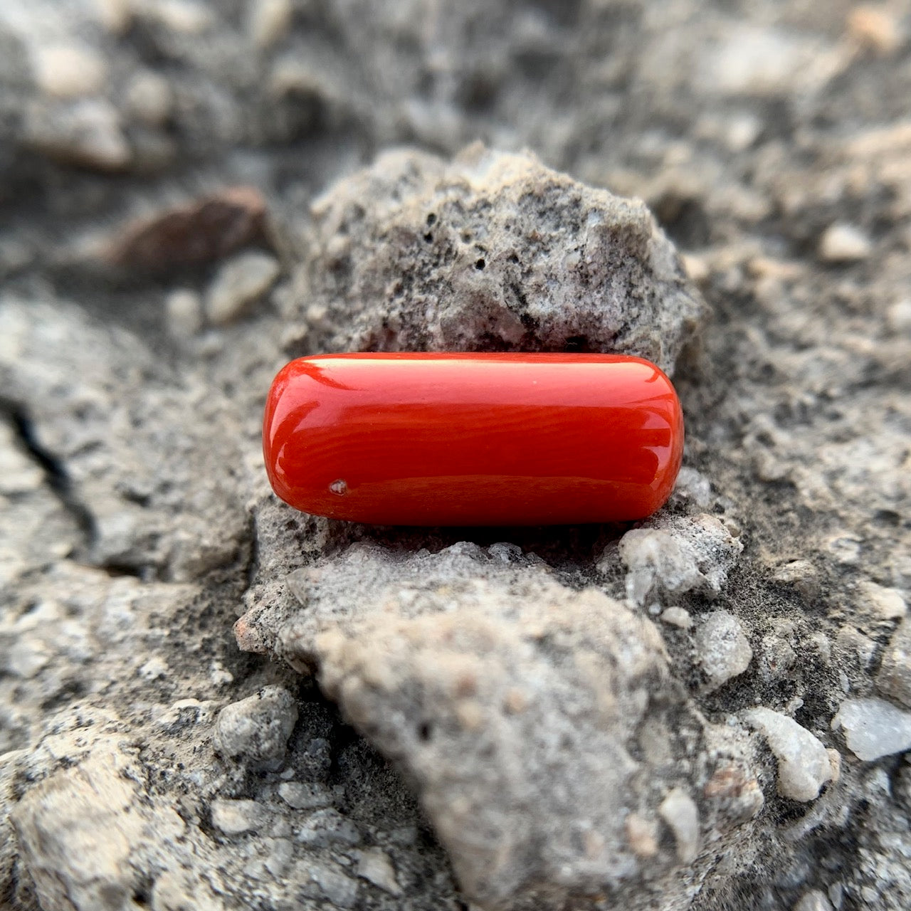 Natural Red Coral - 6.15 Carat/6.83 Ratti