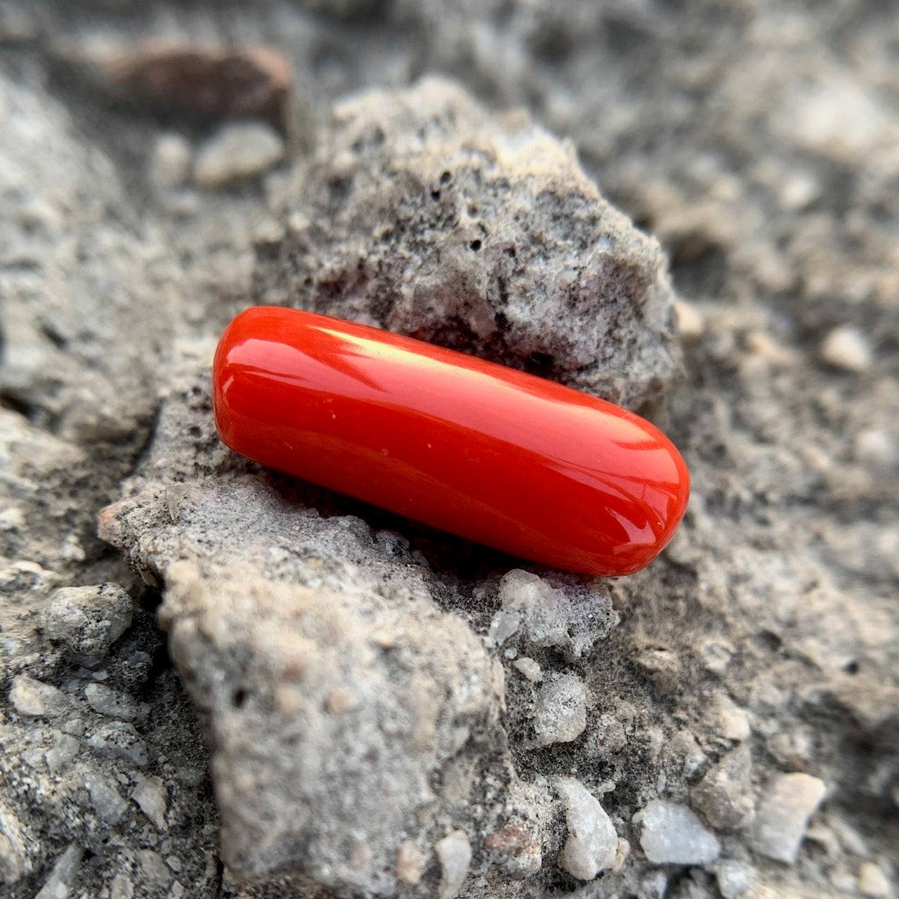 Natural Red Coral - 6.65 Carat/7.38 Ratti