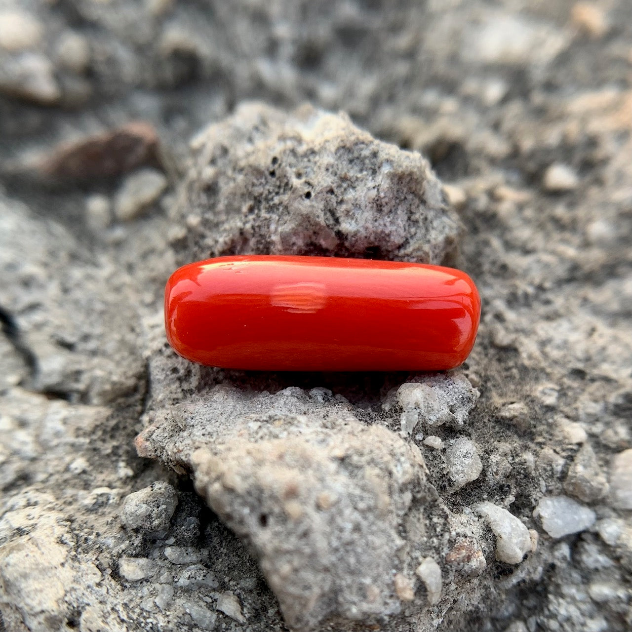Natural Red Coral - 6.65 Carat/7.38 Ratti