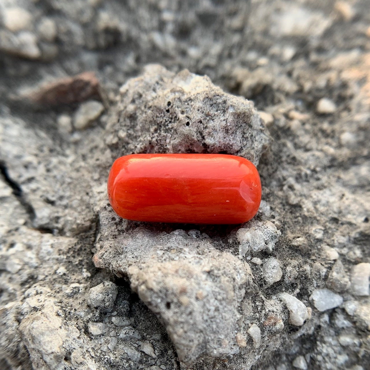 Natürliche rote Koralle – 6,80 Karat/7,55 Ratti