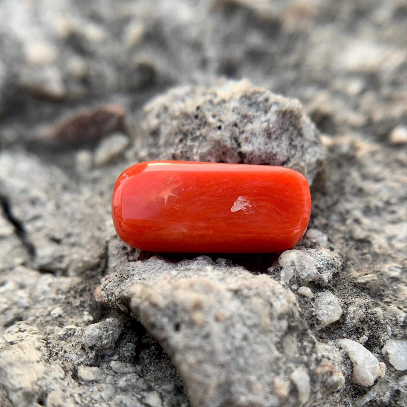 Natürliche rote Koralle – 6,80 Karat/7,55 Ratti