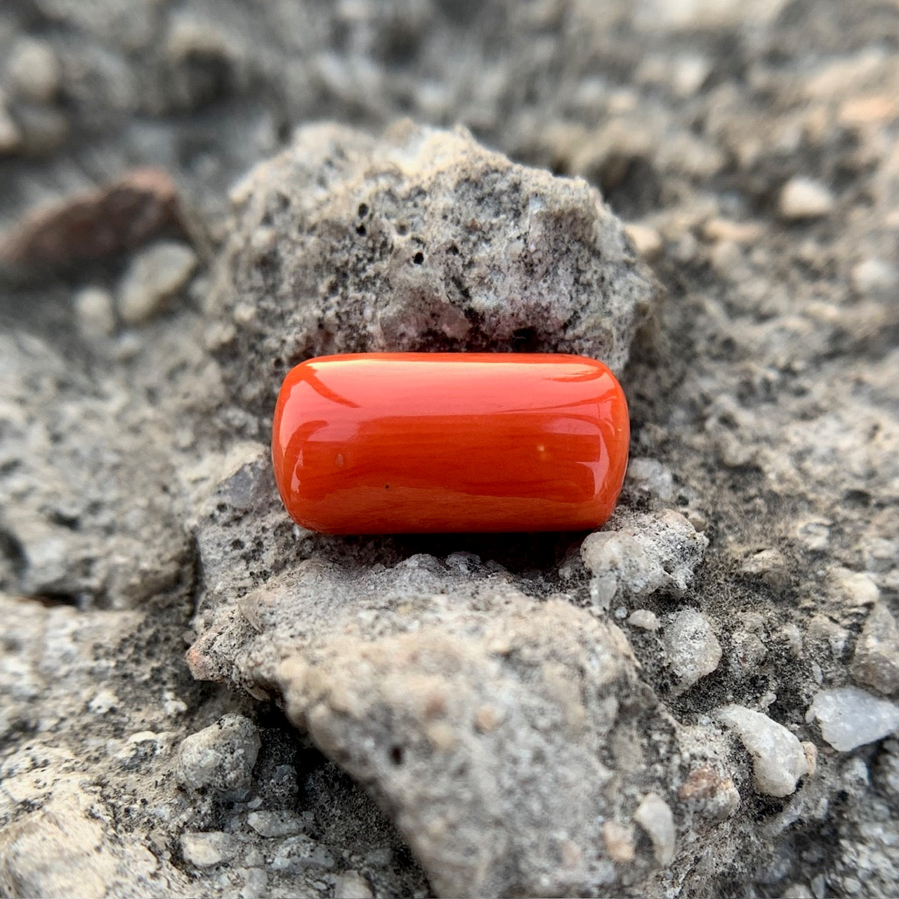 Natural Red Coral - 5.15 Carat/5.72 Ratti