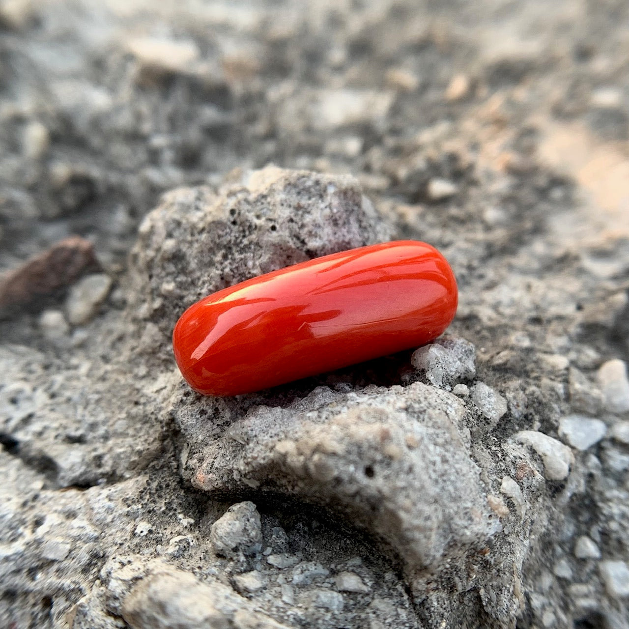 Natural Red Coral - 8.70 Carat/9.66 Ratti